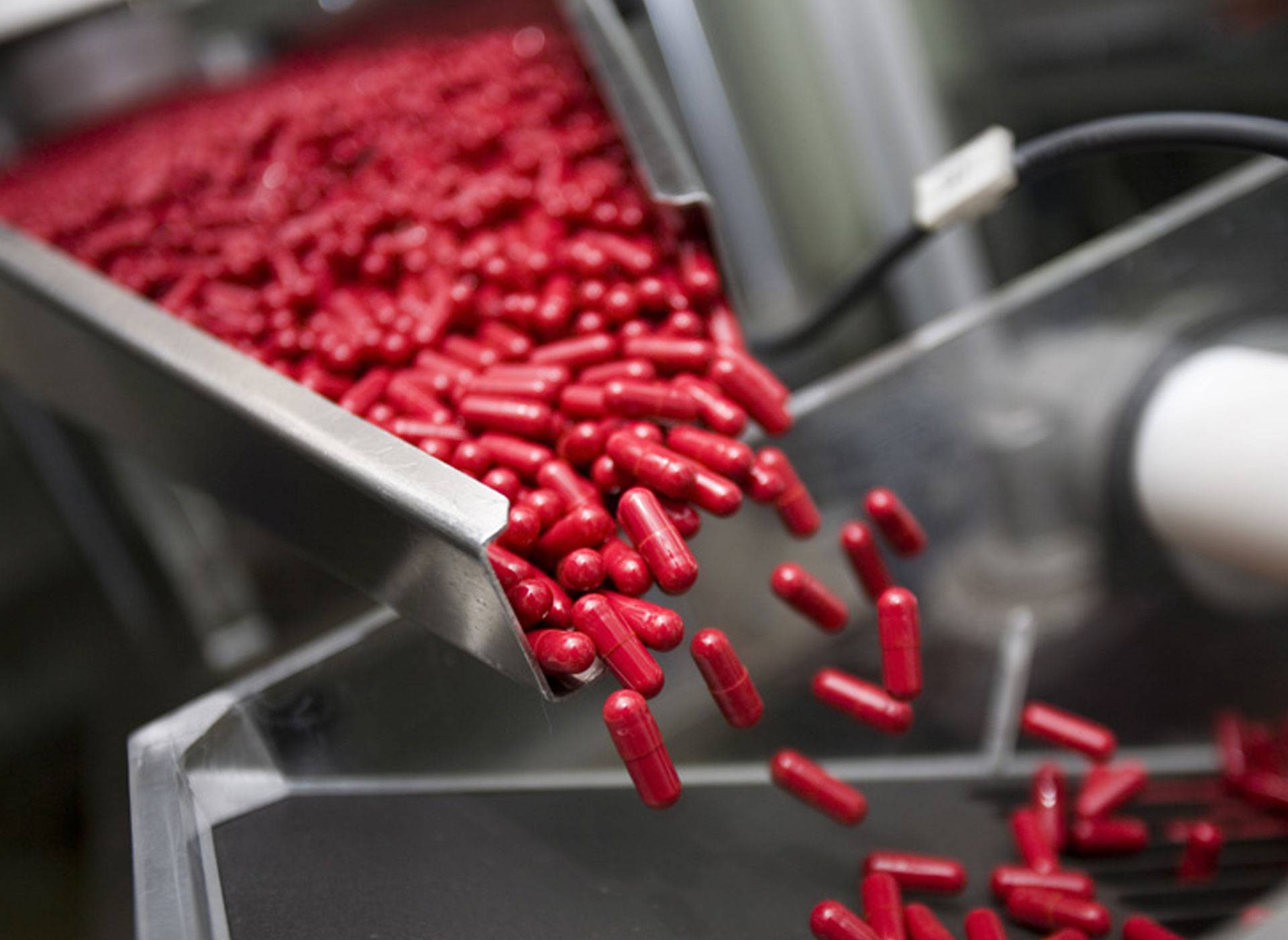 Red pharmaceutical capsules on a production line